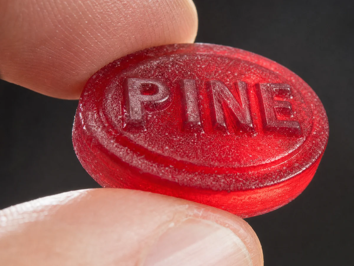 Macro photograph of a Pine Bros drop held lightly between a thumb and forefinger: a thick translucent cherry red oval disc with PINE embossed across its face, completely undeformed.